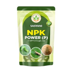 npk power (p)