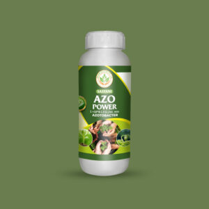 Home azo power