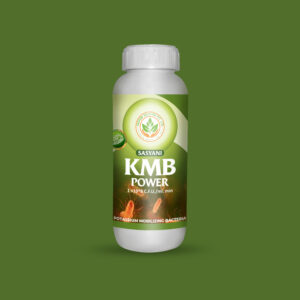 kmb power