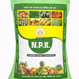 nkp power