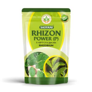rhizon power (p)