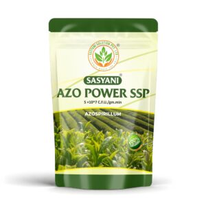 Home azo power ssp