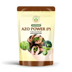 Home azo power (p)